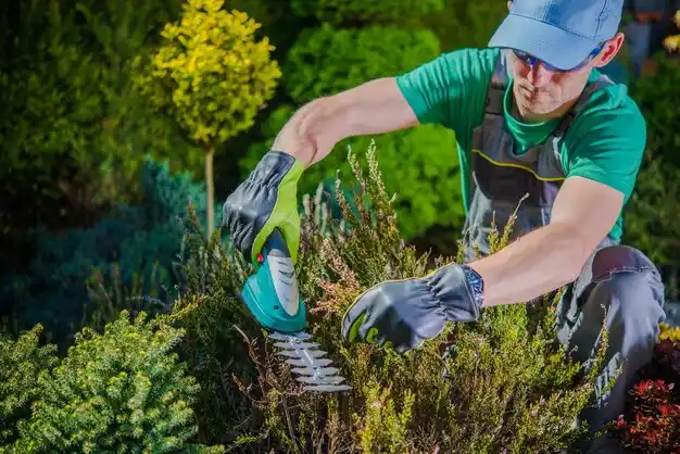landscaping services Rocky Point